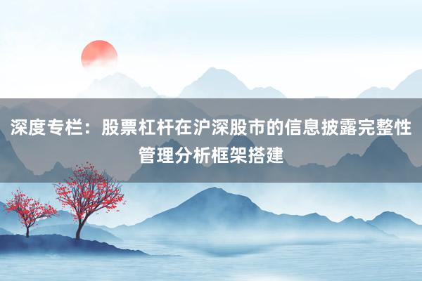 深度专栏:股票杠杆在沪深股市的信息披露完整性管理分析框架搭建