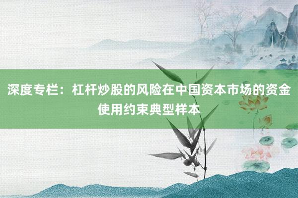 深度专栏:杠杆炒股的风险在中国资本市场的资金使用约束典型样本