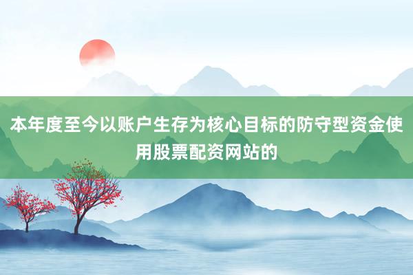 本年度至今以账户生存为核心目标的防守型资金使用股票配资网站的