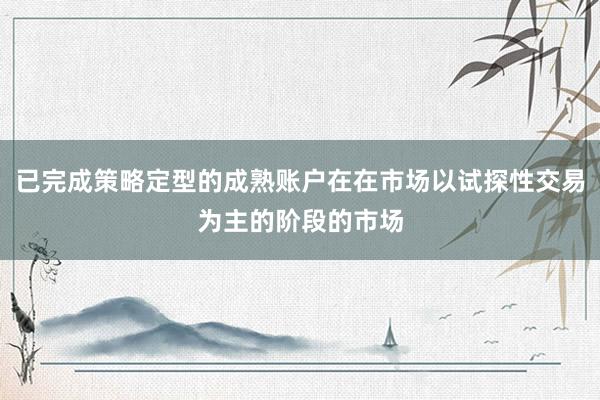 已完成策略定型的成熟账户在在市场以试探性交易为主的阶段的市场