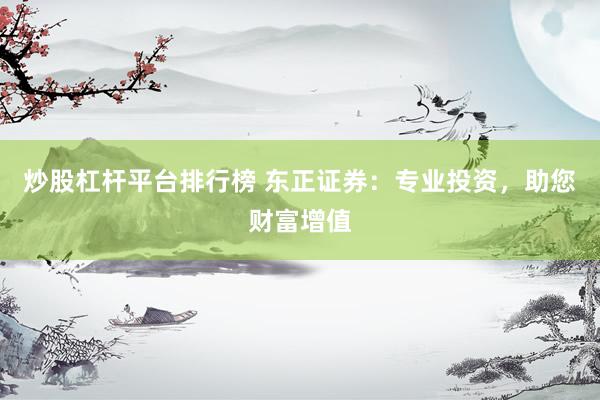 炒股杠杆平台排行榜 东正证券：专业投资，助您财富增值